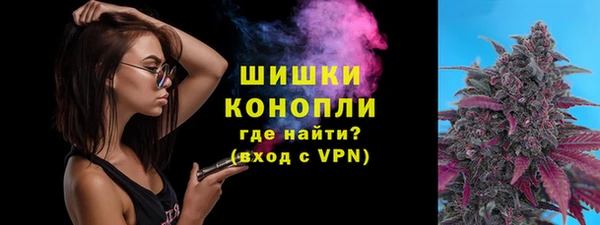 амф Осинники